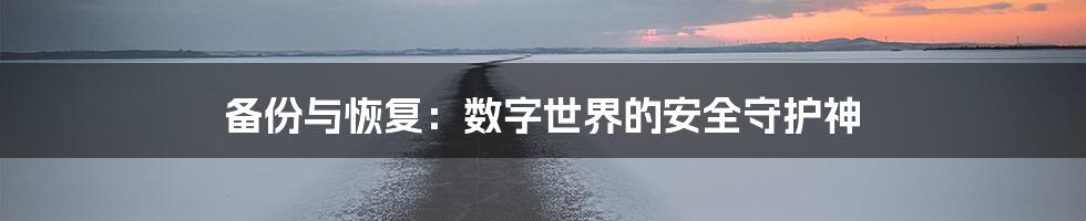 备份与恢复：数字世界的安全守护神