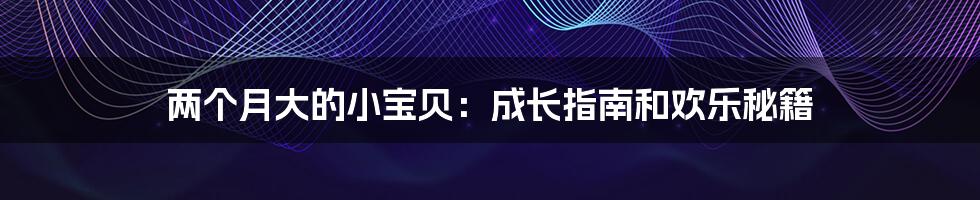 两个月大的小宝贝:成长指南和欢乐秘籍