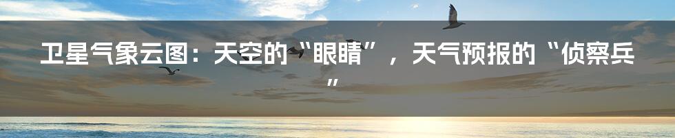卫星气象云图：天空的“眼睛”，天气预报的“侦察兵”