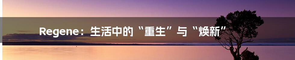 Regene:生活中的“重生”与“焕新”