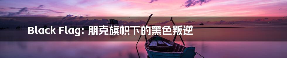 Black Flag: 朋克旗帜下的黑色叛逆