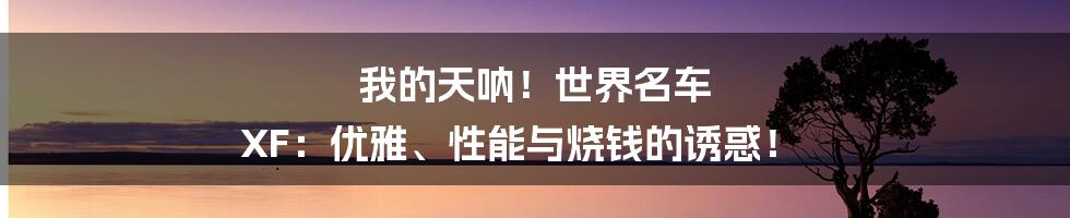 我的天呐！世界名车 XF：优雅、性能与烧钱的诱惑！