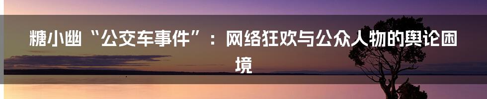 糖小幽“公交车事件”:网络狂欢与公众人物的舆论困境
