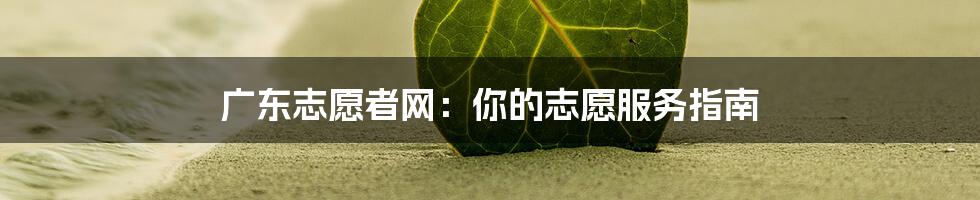 广东志愿者网:你的志愿服务指南