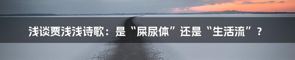 浅谈贾浅浅诗歌:是“屎尿体”还是“生活流”?