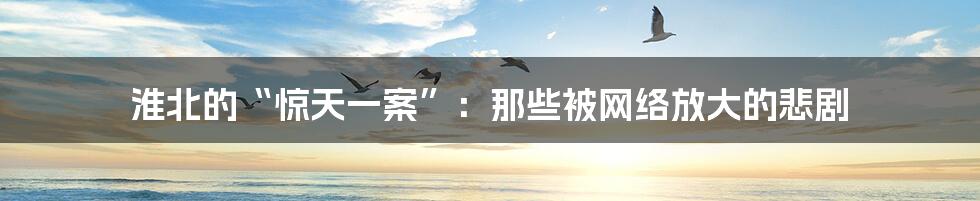 淮北的“惊天一案”:那些被网络放大的悲剧