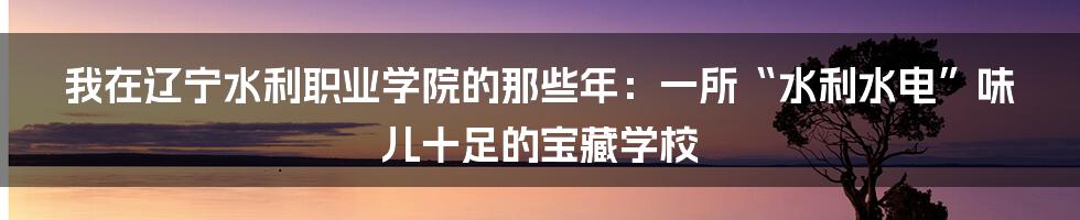 我在辽宁水利职业学院的那些年：一所“水利水电”味儿十足的宝藏学校