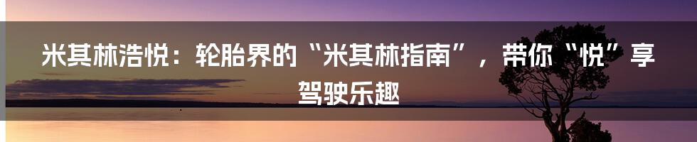 米其林浩悦：轮胎界的“米其林指南”，带你“悦”享驾驶乐趣