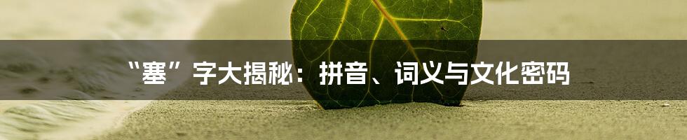 “塞”字大揭秘:拼音、词义与文化密码