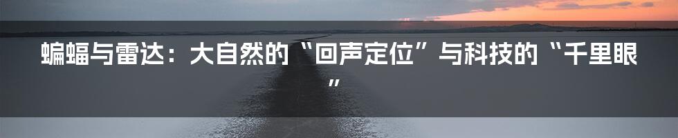 蝙蝠与雷达:大自然的“回声定位”与科技的“千里眼”