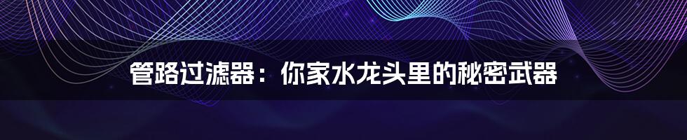 管路过滤器：你家水龙头里的秘密武器