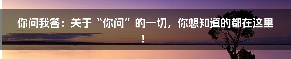 你问我答:关于“你问”的一切,你想知道的都在这里!