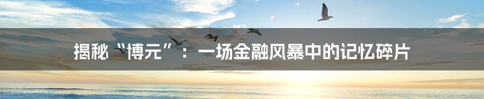 揭秘“博元”：一场金融风暴中的记忆碎片