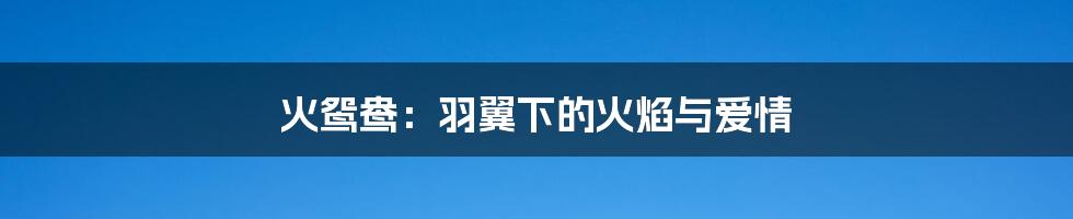 火鸳鸯：羽翼下的火焰与爱情