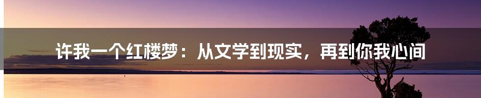 许我一个红楼梦:从文学到现实,再到你我心间