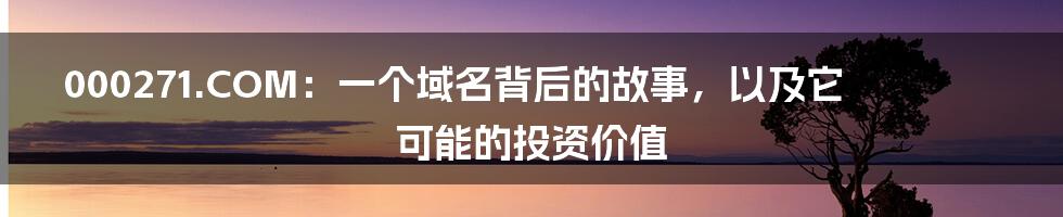 000271.COM：一个域名背后的故事，以及它可能的投资价值