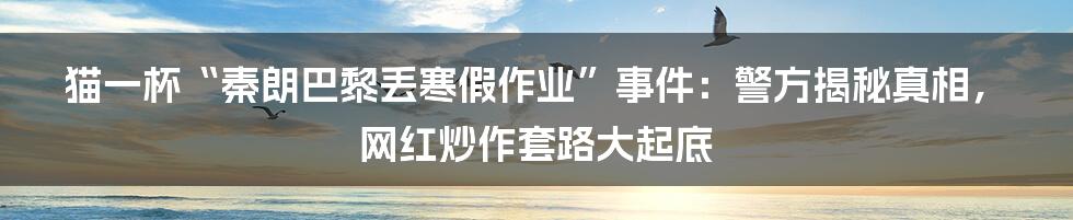 猫一杯“秦朗巴黎丢寒假作业”事件:警方揭秘真相,网红炒作套路大起底