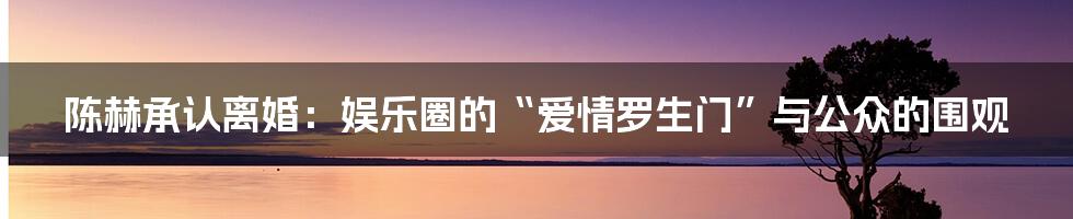 陈赫承认离婚:娱乐圈的“爱情罗生门”与公众的围观