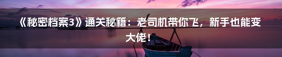 《秘密档案3》通关秘籍：老司机带你飞，新手也能变大佬！