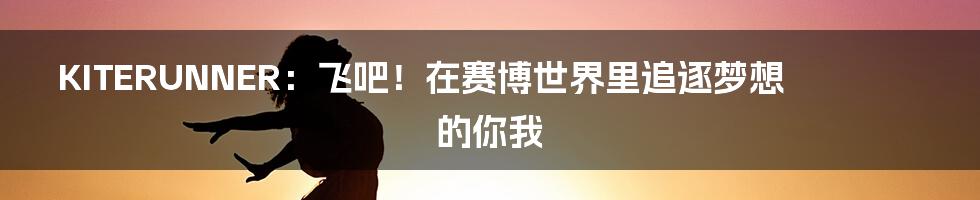 KITERUNNER：飞吧！在赛博世界里追逐梦想的你我