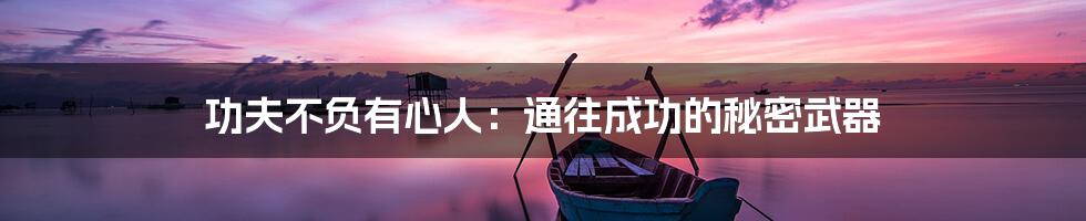 功夫不负有心人：通往成功的秘密武器