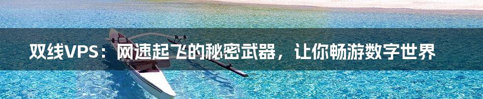 双线VPS：网速起飞的秘密武器，让你畅游数字世界