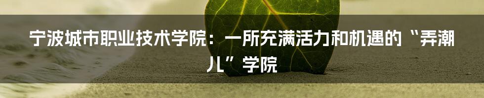宁波城市职业技术学院：一所充满活力和机遇的“弄潮儿”学院