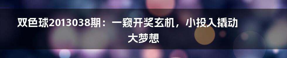 双色球2013038期：一窥开奖玄机，小投入撬动大梦想