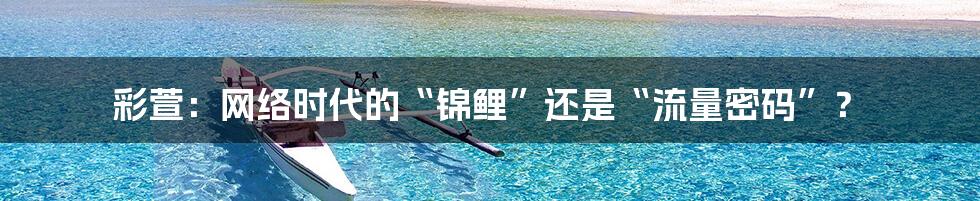 彩萱:网络时代的“锦鲤”还是“流量密码”?