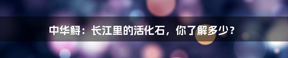 中华鲟:长江里的活化石,你了解多少?