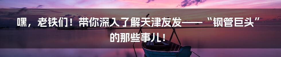 嘿,老铁们!带你深入了解天津友发——“钢管巨头”的那些事儿!