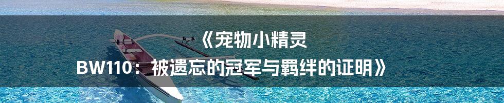 《宠物小精灵 BW110：被遗忘的冠军与羁绊的证明》