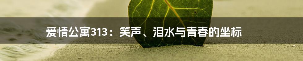 爱情公寓313：笑声、泪水与青春的坐标