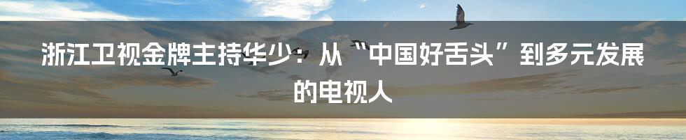 浙江卫视金牌主持华少：从“中国好舌头”到多元发展的电视人