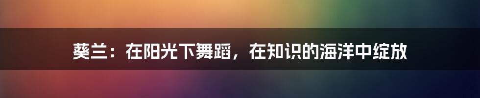 葵兰：在阳光下舞蹈，在知识的海洋中绽放