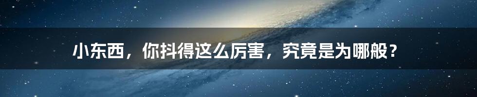 小东西，你抖得这么厉害，究竟是为哪般？