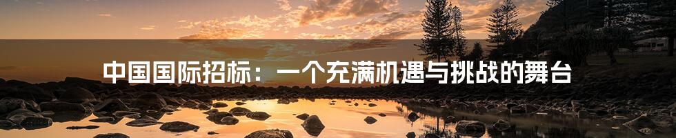 中国国际招标：一个充满机遇与挑战的舞台