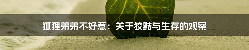 狐狸弟弟不好惹:关于狡黠与生存的观察