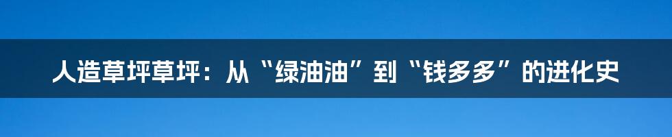 人造草坪草坪:从“绿油油”到“钱多多”的进化史