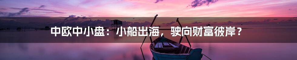 中欧中小盘:小船出海,驶向财富彼岸?