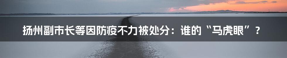 扬州副市长等因防疫不力被处分：谁的“马虎眼”？