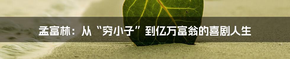 孟富林：从“穷小子”到亿万富翁的喜剧人生