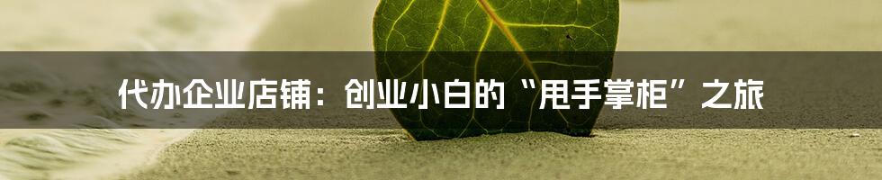 代办企业店铺:创业小白的“甩手掌柜”之旅