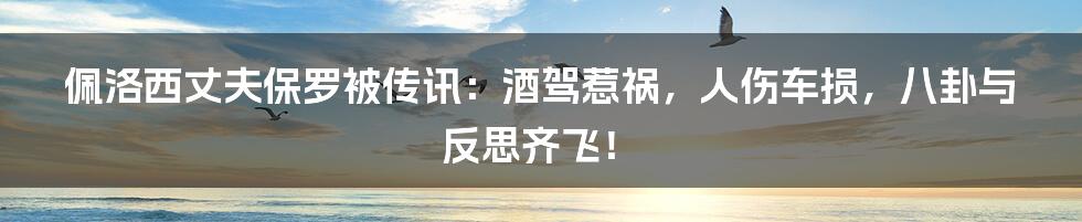 佩洛西丈夫保罗被传讯：酒驾惹祸，人伤车损，八卦与反思齐飞！