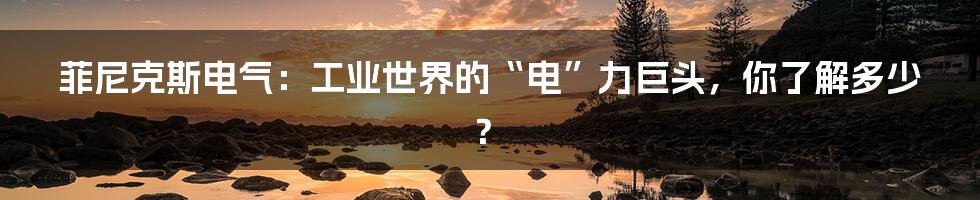 菲尼克斯电气:工业世界的“电”力巨头,你了解多少?