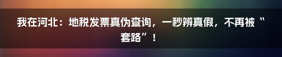 我在河北:地税发票真伪查询,一秒辨真假,不再被“套路”!
