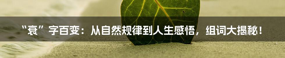 “衰”字百变:从自然规律到人生感悟,组词大揭秘!
