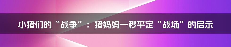 小猪们的“战争”：猪妈妈一秒平定“战场”的启示