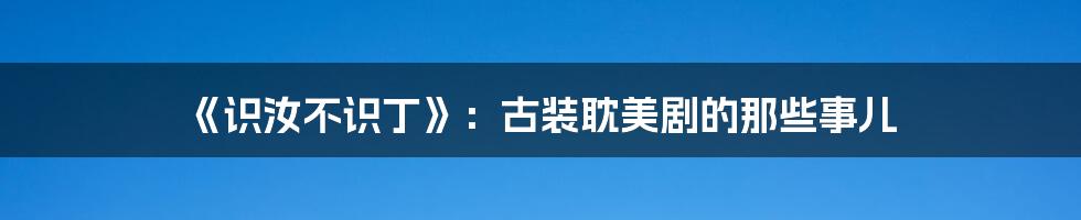 《识汝不识丁》:古装耽美剧的那些事儿