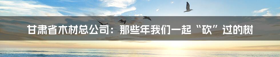 甘肃省木材总公司：那些年我们一起“砍”过的树